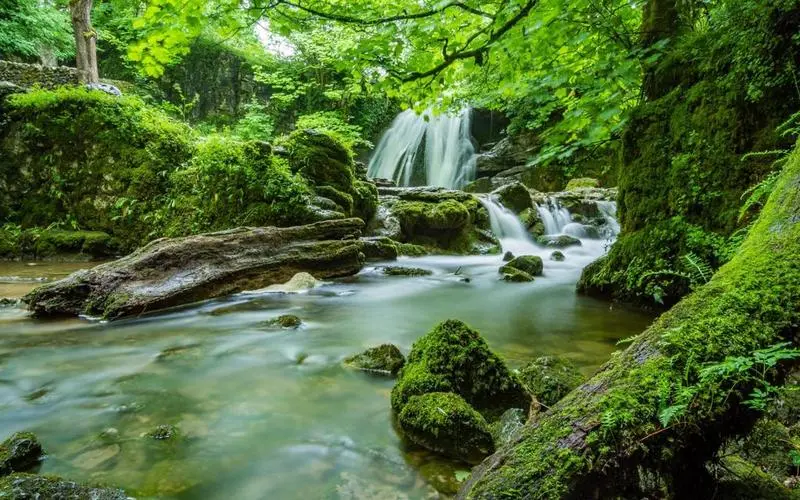 高质量智慧可靠性